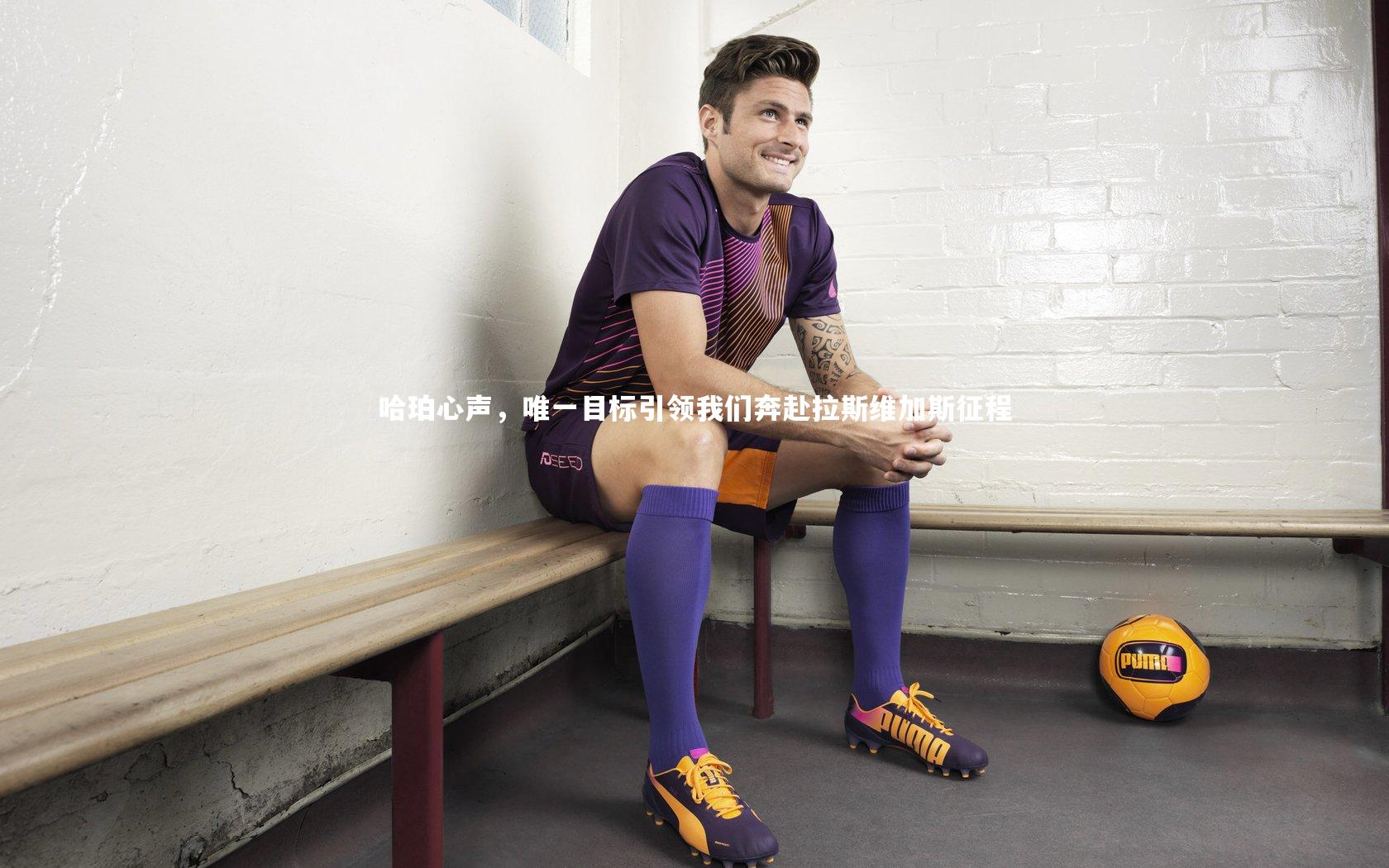 哈珀心声，唯一目标引领我们奔赴拉斯维加斯征程